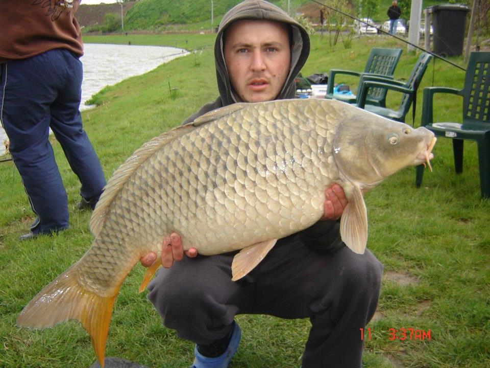 CONCURS LIKE-URI  - VOT PE FACEBOOK  - Parapuf Petre